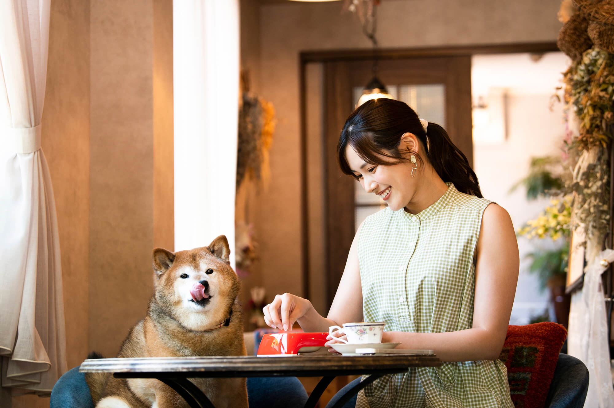 埼玉県のドッグカフェにはいろいろな魅力がいっぱい！お気に入りのお店を探しに行こう！